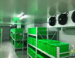 冷库的维保流程：科学有序的维护步骤