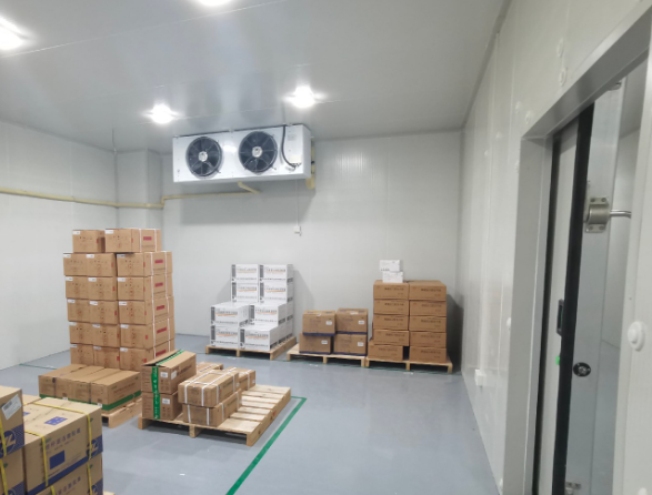 冷库整体布局与平面规划设计核心要点